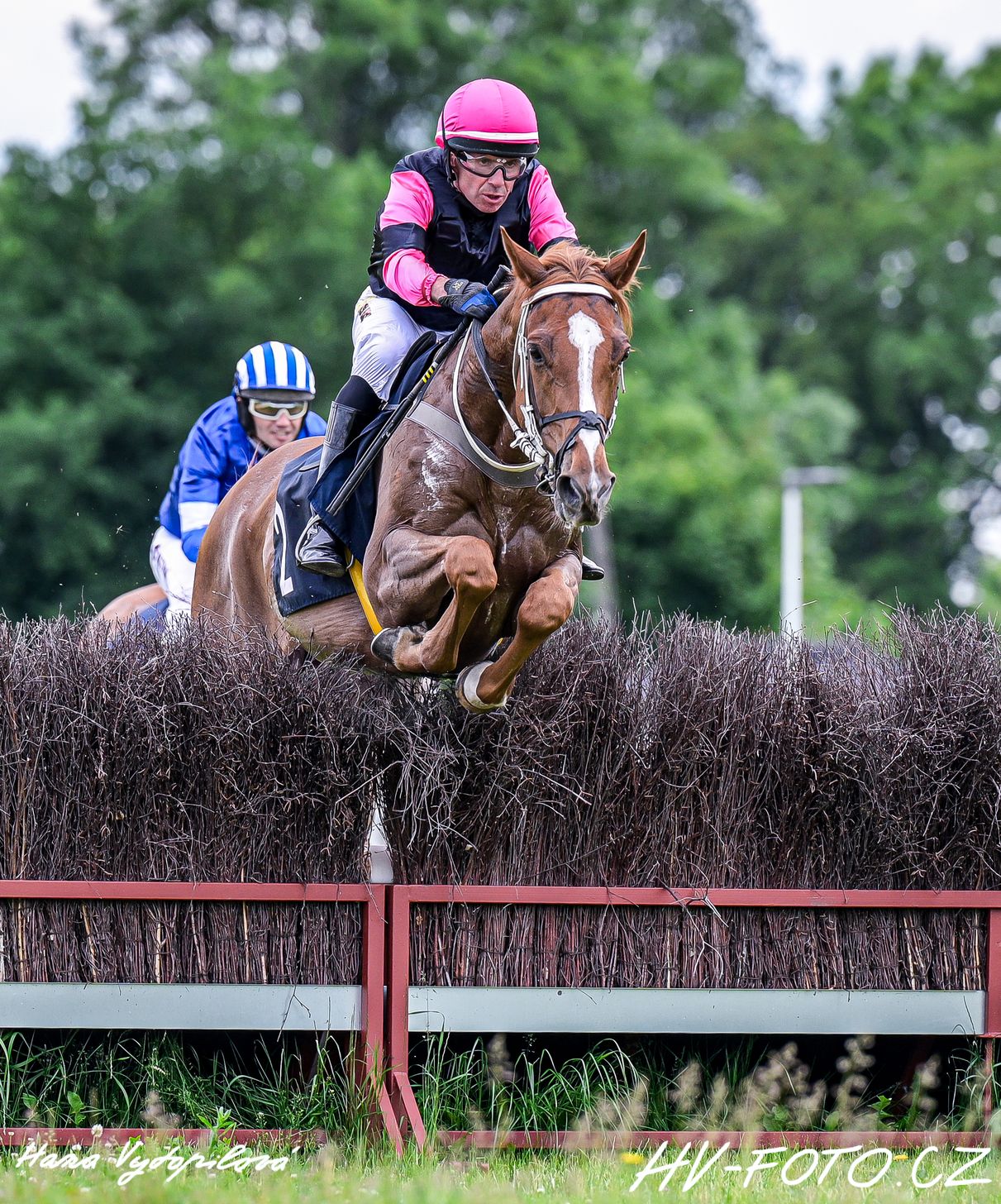 DSC_1519 kopie.jpg